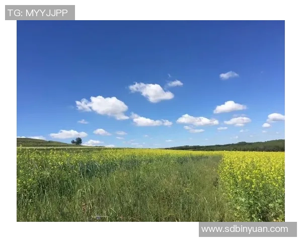 王秀英的极限运动人生探索与深度对话之旅 王秀英的极限运动人生探索与深度对话之旅