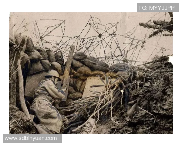 南京飞盘队的快攻革新之路探秘与战术解析 南京飞盘队的快攻革新之路探秘与战术解析