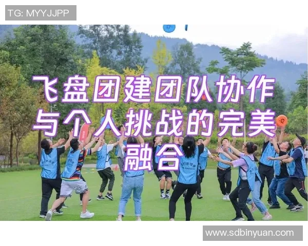北京飞盘队团队协作表现的深入数据分析与探讨