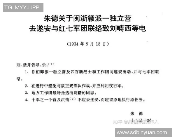 南京排球队反击战术解析与深度剖析助力球队崛起之路