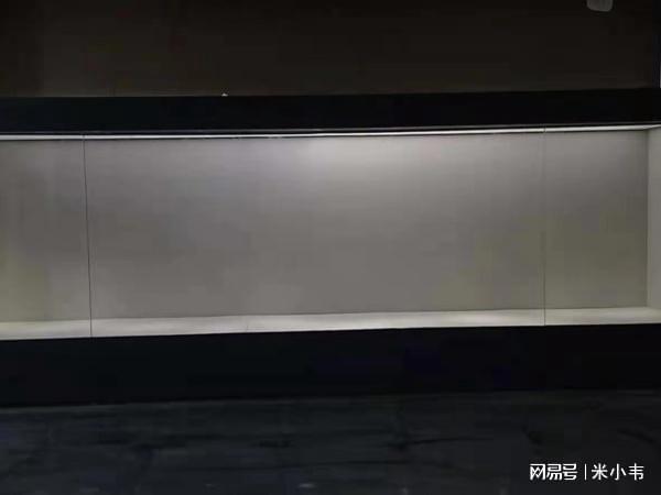 885566威尼斯揭秘博物馆展柜陈设秘笈：让你的藏品“活”起来！(图1)
